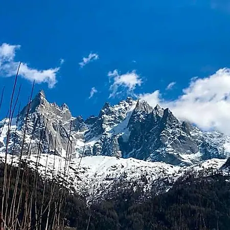 Aiguille Verte & アパートホテル