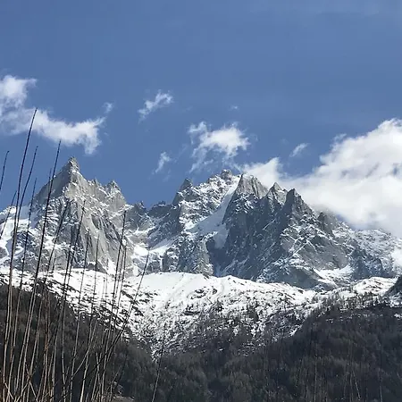 Aiguille Verte & Lejlighedshotel