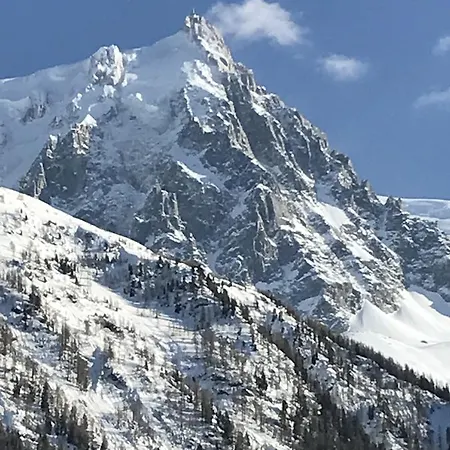 Апарт-отель Aiguille Verte & Шамони