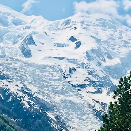 Aiguille Verte&spa Appart hôtel 3*