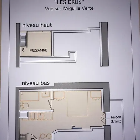 Appart hôtel Aiguille Verte&spa