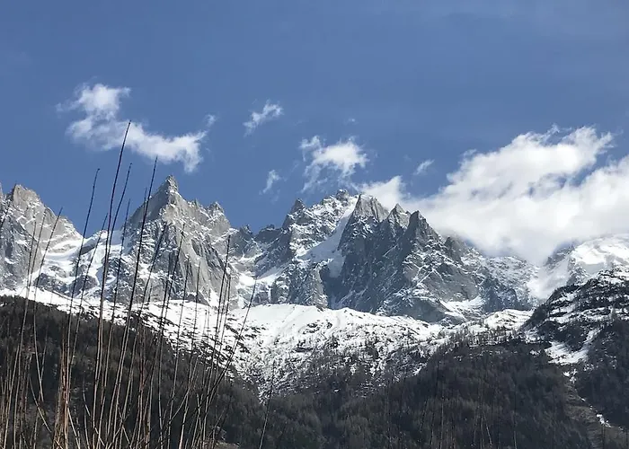 Aiguille Verte & Lejlighedshotel